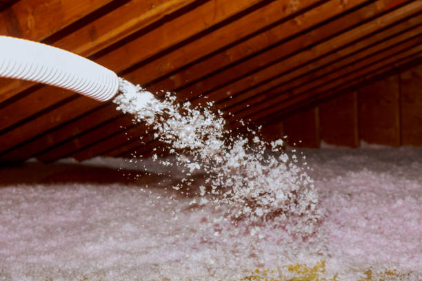 Best Attic Insulation Near Me  in Ricardo, TX