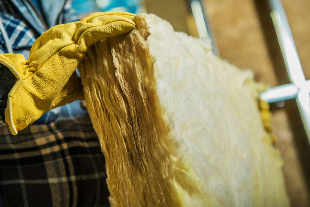 Best Insulation Removal  in Ricardo, TX