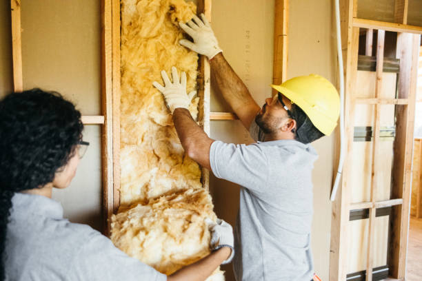 Best Cellulose Insulation  in Ricardo, TX