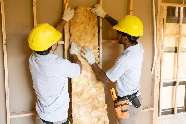 Best Residential Insulation Services  in Ricardo, TX