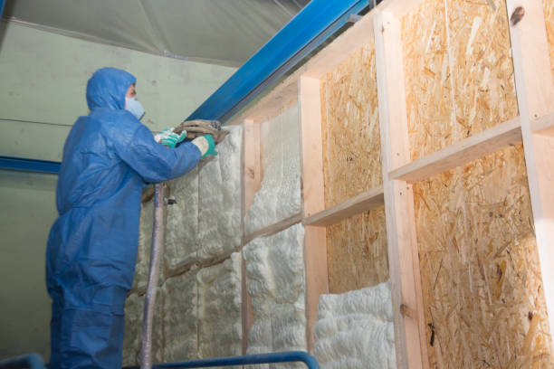Best Affordable Insulation Services  in Ricardo, TX