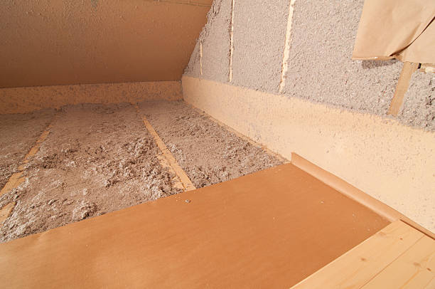 Best Fiberglass Insulation  in Ricardo, TX