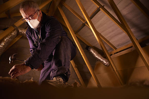 Best Best Insulation Companies  in Ricardo, TX